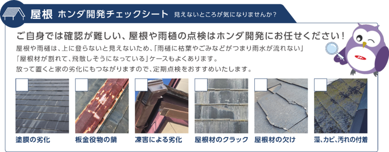 roofchecksheet.png