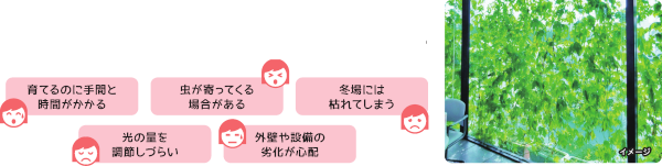 midorinooo.png