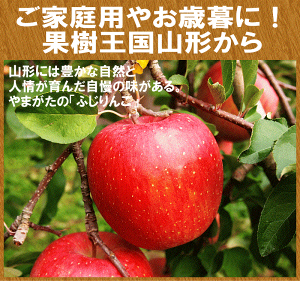 （販売期間：12/6（金）12時まで）【産地直送】サンふじりんご2.5kg（6玉～10玉）