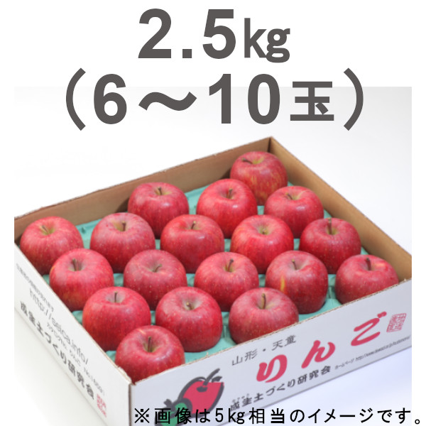 （販売期間：12/6（金）12時まで）【産地直送】サンふじりんご2.5kg（6玉～10玉）