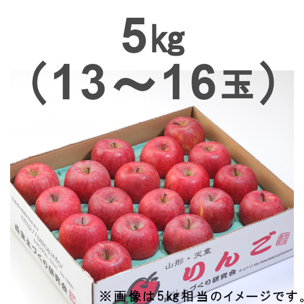 （販売期間：12/6（金）12時まで）【産地直送】サンふじりんご5kg（13玉～16玉）