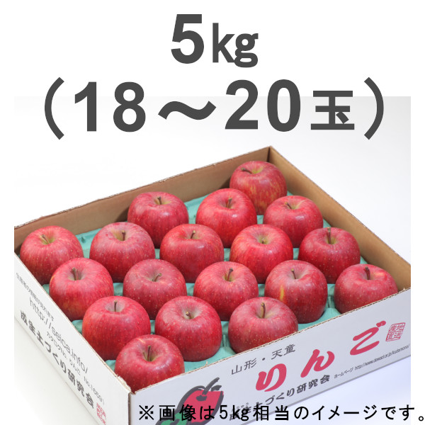 （販売期間：12/6（金）12時まで）【産地直送】サンふじりんご5kg（18玉～20玉）